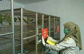 Dia dituduh menyimpan 25 ayam di rumahnya di tingkat sembilan, blok 275, jalan pasir ris 21, 9 julai lalu. 10 Burung Peliharaan Di Rumah Masuk Daftar Burung Dilindungi Burungnya Com