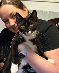 Pet Tails Rescue додаде нова фотографија.