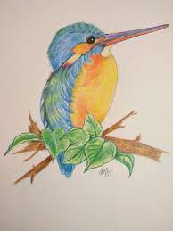 Kingfisher In 2021 Nature Art Drawings Color Pencil Picture Colorful Drawings