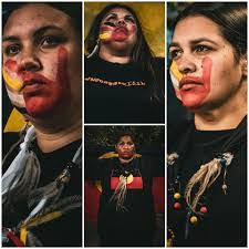 Sandra Collard's Instagram, Twitter & Facebook