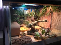 Custom Homemade Diy Reptile Vivarium Beardedragon Beardie Love Bearded Dragon Enclosure Baby Bearded Dragon Bearded Dragon Care