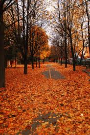 See more ideas about nature aesthetic, aesthetic, nature. Tumblr Background Outside Novocom Top