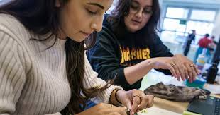 Sushi met meelwormen? 'We willen mensen eerst laten schrikken'