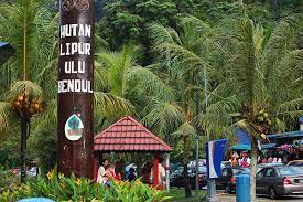 Trail untuk ke lata berembun agak mendatar dan perlu melintasi anak sungai. Senarai Lokasi Hutan Lipur Air Terjun Di Negeri Sembilan Emajalah2u