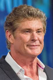 Confession d'un faux naïf, vrai vendeur. David Hasselhoff Wikipedia