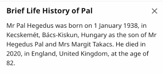 Hungarian Treasures Reuniting Long Lost Family & Friends