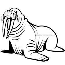 Walrus Animal Walrus Car Decals Stickers Vinyl Decals