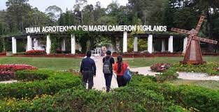 Check spelling or type a new query. Tempat Menarik Di Cameron Highland 2021 Aktiviti Best