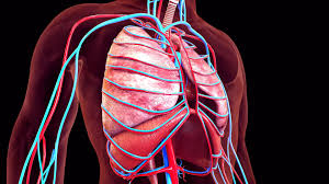 The Latest Treatments For Copd Copd Medical Prescription Chronic Obstructive Pulmonary Disease