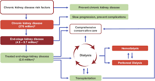 It helps to remove waste and extra fluids present in the blood. Increasing Access To Integrated Eskd Care As Part Of Universal Health Coverage Kidney International