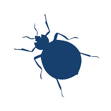All the answers and more in our guide! Bed Bug Exterminator Phoenix Bed Bug Removal Phoenix