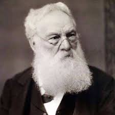 Plant of the Month: August 2018