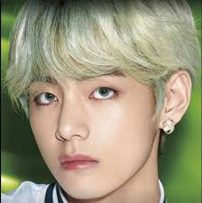 Bts members before the fame: Plastic Surgery Meter V Bangtan Boys