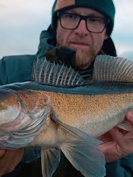 #sandacz #lures #zander #fishing #fishon