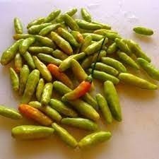 Maybe you would like to learn more about one of these? How To Make Hot Pepper Sauce Finegardening Stuffed Peppers Pepper Sauce Recipe Delicious Salad Dressings