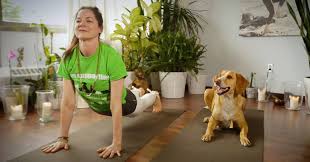 If you have been considering a career with dogs, this is the course to get you started! Back By Popular Demand Yoga With Toronto Humane Society Facebook