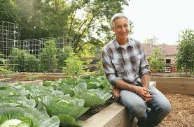 Check spelling or type a new query. Raised Bed Garden From A Z What To Know Joe Gardener