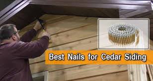 The panels lap at their joints. Best Nails For Cedar Siding Top 5 Picks Reviews 2021