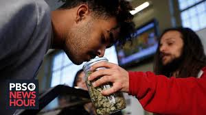 Why some small marijuana growers struggle after legalization