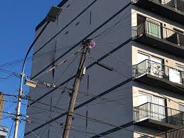 Información y noticias de villa la angostura, la región de los lagos y patagonia argentina, videos, noticias nacionales, provinciales, turismo, entrevistas, galería de fotos, clima, cerro bayo y actividades T8cbel4qeswrzm