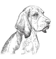 Beagle Drawing Vector Images Over 1 400 You can browse beagle painting samples from real customers and artists. vectorstock