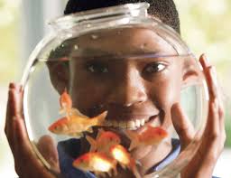 Supporting science learning is easier than you might think