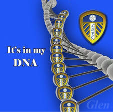 Oktawian skrzecz nie jest już zawodnikiem stali rzeszów. Vlepy I Tapety Sportowe