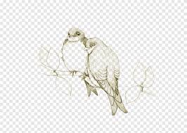 Download gambar sketsa lovebird gambar mewarnai gambar burung unik via gambar.co.id. Sketsa Gambar Burung Hantu Burung Hantu Burung Hantu Pensil Hewan Png Pngegg