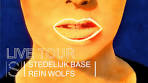 LIVE The Collection - Stedelijk BASE a tour by Director Rein ... - YouTube