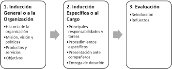 Domingo martínez luján nº 935 surquillo. Proceso De Induccion De Personal Que Es Etapas Beneficios Gestiopolis