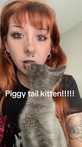 Kitten Has Crooked Tail