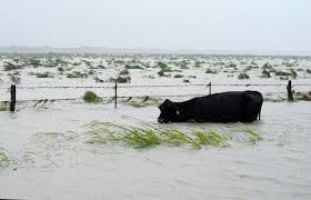 Image result for hurricane harvey 2017