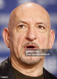 253 Sir Bear Stock Photos, High-Res Pictures, and Images