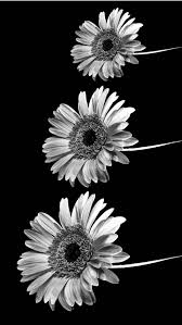Pin En Wallpaper Fond D Ecran Desktop Iphone Ipad