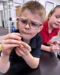 🦉 Osborn's 3rd graders dove into some Mad Science recently as they  dissected owl pellets! Students examined bones and fur to discover exactly  what owls eat — learning how scientists study food