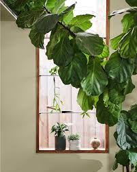 Dulux Australia On Instagram Dulux Colour Forecast 2020 Cultivate The Cultivate Palette Reminds Us That Dulux Green Paint Dulux Colour Color Forecasting