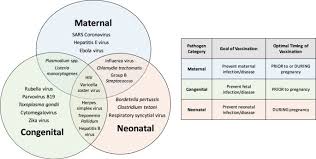 We did not find results for: Pregnancy And Infection Using Disease Pathogenesis To Inform Vaccine Strategy Npj Vaccines