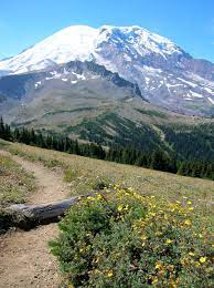 It is a stunningly beautiful trail that oscillates between deep, volcanic valleys, dense forests of old growth trees and high alpine parks and ridges. Hiking Wonderland Trail Visit Rainier