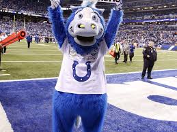 Jeden tag werden tausende neue, hochwertige bilder hinzugefügt. Video Colts Mascot Dominates Kids In Mascot Challenge Thescore Com