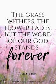 After women, flowers are the most lovely thing god has given the world. 25 Interesting Bible Verses About Flowers Think About Such Things