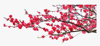 Learn how to say different kinship terms in chinese when i was growing up in china, before any weddings, parties, or family reunions, my mom always. China Dwg Romantic Chinese Mid Autumn Tree Hd Png Download Transparent Png Image Pngitem