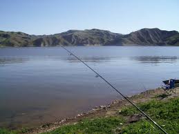 Lake Piru Fishing: Tips, Techniques, And More - Lake Access