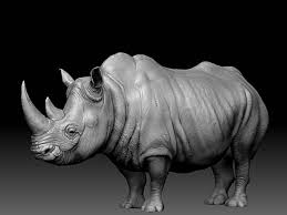 Http Www Zbrushcentral Com Attachment Php Attachmentid 172607 Animal Sculptures Animal Drawings Prehistoric Animals