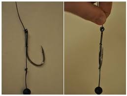 Premier depart que je vois et contrairement aux autres carnassiers il part vite et sans … Montage Silure Au Vif Decouvrez Un Montage Efficace