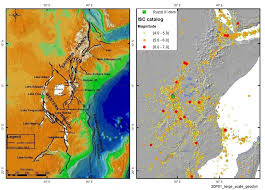 Image result for Blepharis burundiensis