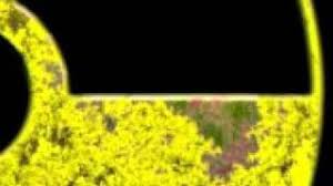 Image result for teknambul