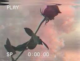 Grunge Aesthetic Tumblr Backgrounds Aesthetic Tumblr Backgrounds Grunge Aesthetic Aesthetics Tumblr