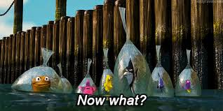 As the father clownfish tries to go after dr. Movieevent Finding Nemo Cartoon Amino