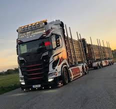 Pin By Sergej On Gruzoviki Trucks Big Trucks Volvo Trucks