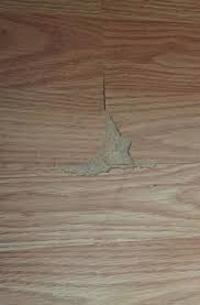 How do you repair hardwood floors? Can I Fix Laminate Flooring That Has Chipped And Peeled On The Top Hometalk
